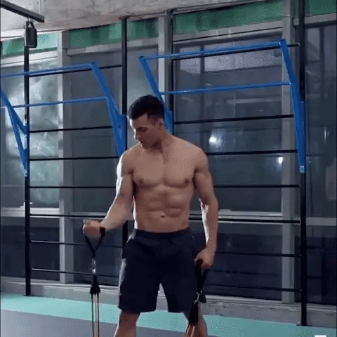 Fitness Resistance Bands Set